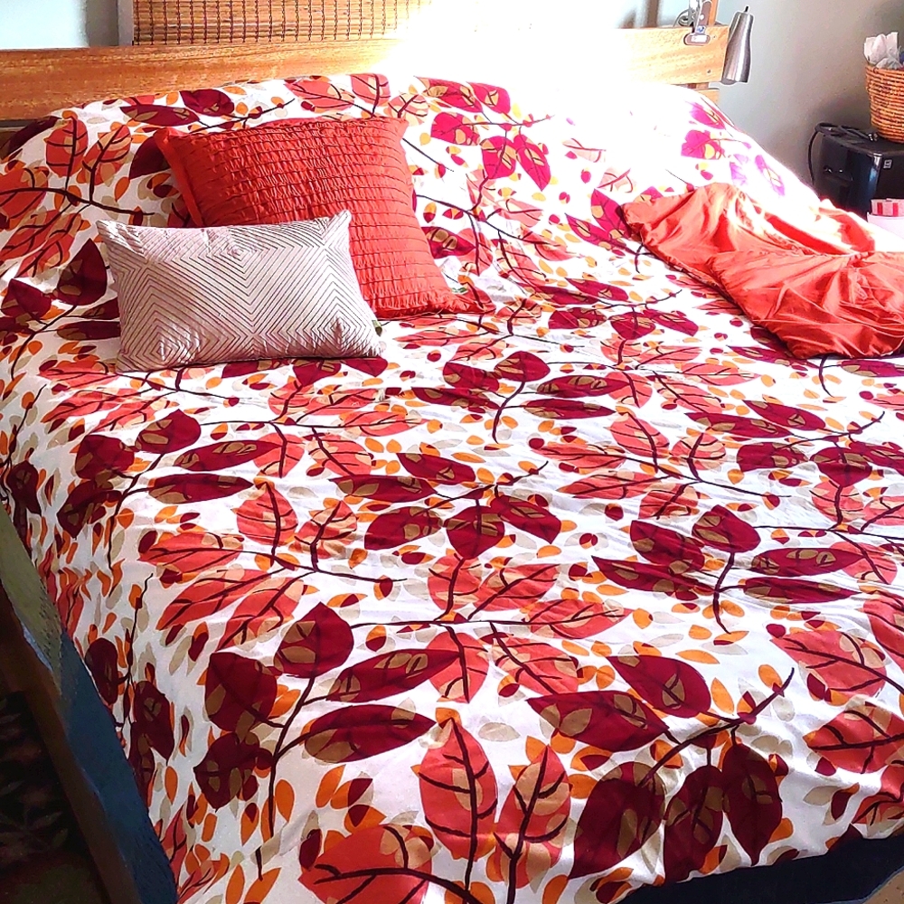 🏠 Full or Queen size comforter, 2 std pillow shams, and 2 matching pillows